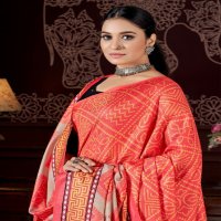 Aayaa Pashmina Vol-1 Wholesale Winter Sarees Collection