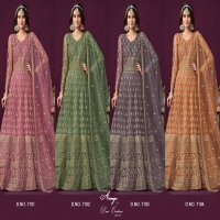 Twisha Aanaya Dani Creations Vol-171 Wholesale Designer Salwar Suits