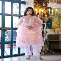 Afsana Zain Hashmi D.no 21 Wholesale Pakistani Organza Suits Combo