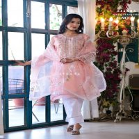 Afsana Zain Hashmi D.no 21 Wholesale Pakistani Organza Suits Combo