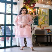 Afsana Zain Hashmi D.no 21 Wholesale Pakistani Organza Suits Combo