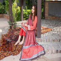 Regalia Salina Zari Collection 2024 Wholesale Pakistani Salwar Suits
