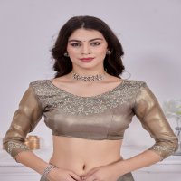 Mehak D.no 763 Colour Wholesale Raina Net Coating Fabric Party Wear Sarees