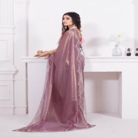 Mehak D.no 763 Colour Wholesale Raina Net Coating Fabric Party Wear Sarees