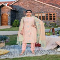 Anju Fashion Point Vol-2 Wholesale Kurti With Pant And Dupatta