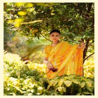 KASHVI CREATION PRESENT LEELA FESTIVAL DULL MOSS SATIN WITH FOIL PRINT ONLINE SAREE SUPPLIER