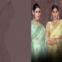 Jayshree D.no 2265A To 2265D Wholesale Organza Net Function Wear Sarees