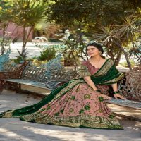 Aawiya Priyamani 1204 Colour Wholesale Designer Lehengas Choli