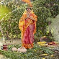 Vallabhi Suraj Ki Lalima Wholesale Brasso Fabrics Indian Sarees