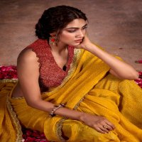 Stavan Chunari Wholesale Chiffon With Cutwork Party Wear Indian Sarees