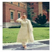 The Hermitage Shop Bagh Wholesale Pure Lawn Cotton Chikankari Work Dress Material