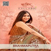 Vallabhi Brahmaputra Vol-2 Wholesale Georgette Fabrics Sarees