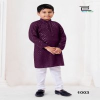 Blue Hills Prince Wholesale Heavy Chikankari Work Kids Kurta With Pant