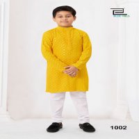 Blue Hills Prince Wholesale Heavy Chikankari Work Kids Kurta With Pant