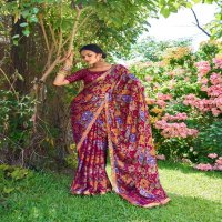 Stavan Feena Wholesale 3d Velvet Chiffon Ethnic Sarees