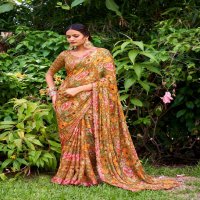 Stavan Feena Wholesale 3d Velvet Chiffon Ethnic Sarees