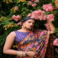 Stavan Feena Wholesale 3d Velvet Chiffon Ethnic Sarees