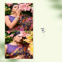 Stavan Feena Wholesale 3d Velvet Chiffon Ethnic Sarees