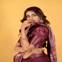 rajpath chocolate dola silk with foil print saree for women