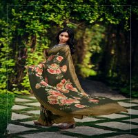 KASHVI CREATION AJNABEE VOL 7 BEAUTIFUL WEAR SAREE COLLECTION