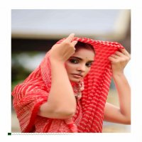 amrita vol 2 by kashvi dull moss attractive saree for women