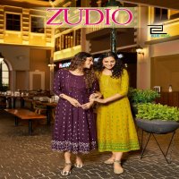 Blue Hills Zudio Wholesale Anarkali Concept With Neck Embroidery Kurtis