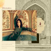 AIQA Sastra Wholesale Pure Velvet With Fancy Work Winter Suits