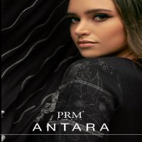 PRM Antara Wholesale VIscose Pashmina With Fancy Work Winter Salwar Suits