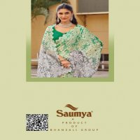 Saumya Sharvari Wholesale simar spray print with jari work full sarees