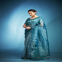 klanjali by kala jamun tissue silk fashionable saree with blouse