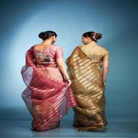 klanjali by kala jamun tissue silk fashionable saree with blouse