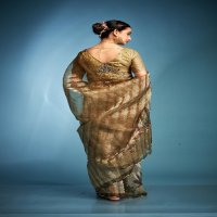 klanjali by kala jamun tissue silk fashionable saree with blouse