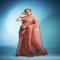 klanjali by kala jamun tissue silk fashionable saree with blouse