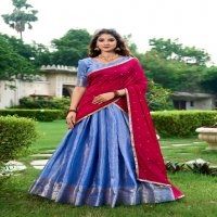 LNB Kesariya Wholesale Kanchipuram Fabrics Lehengas