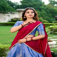 LNB Kesariya Wholesale Kanchipuram Fabrics Lehengas