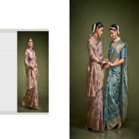 jalsa by kala jamun 36-39 series stylish organza crush saree