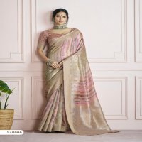 Rajpath Kingfisher Wholesale Pure Handloom Khadi Silk Sarees