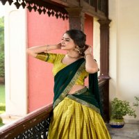 LNB Akshara 2050 Wholesale Paithani artistry on Cotton Silk Lehenga Collection