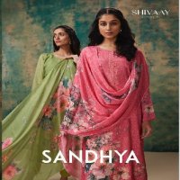 Shivaay Sandhya Wholesale Pure Simar Muslin With Handwork Salwar Suits