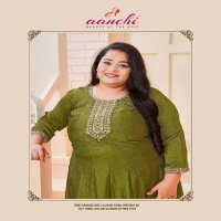 Aanchi Plus Aarya Wholesale Big Size Ladies Kurtis