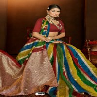 Saroj Shivika Organza Saroski Wholesale Soft Organza Rich Pallu Sarees