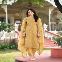 Bela Rumi Wholesale Organza Fabrics Straight Cut Salwar Kameez