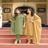 Bela Rumi Wholesale Organza Fabrics Straight Cut Salwar Kameez