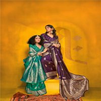 Rajtex Karnival Park Wholesale Two Tone Handloom Weaving Silk Party Wear Sarees