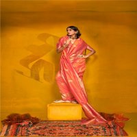 Rajtex Karnival Park Wholesale Two Tone Handloom Weaving Silk Party Wear Sarees