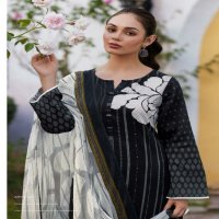 Sadhana Iliana Wholesale Pure Jamm Cotton With Fancy Work Salwar Suits