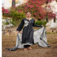 Sadhana Iliana Wholesale Pure Jamm Cotton With Fancy Work Salwar Suits