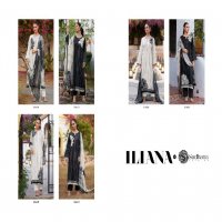 Sadhana Iliana Wholesale Pure Jamm Cotton With Fancy Work Salwar Suits