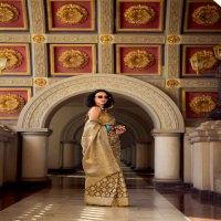 Rajpath Goldmine Wholesale Tissue Silk Ethnic Sarees Collection