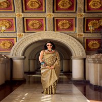 Rajpath Goldmine Wholesale Tissue Silk Ethnic Sarees Collection